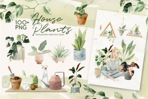 Cosy House Plants Watercolor Clipart
