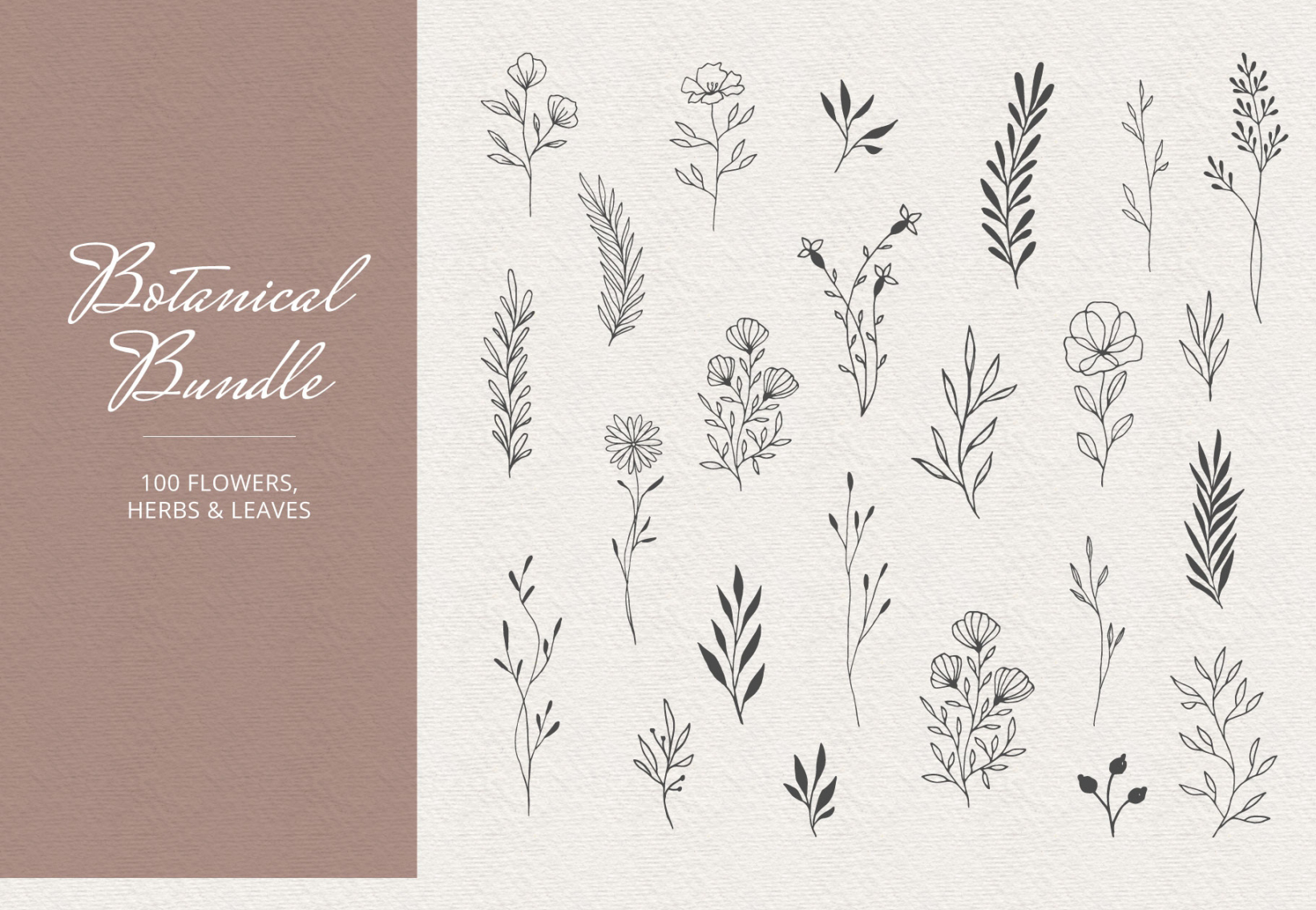 Sale botanical bundle