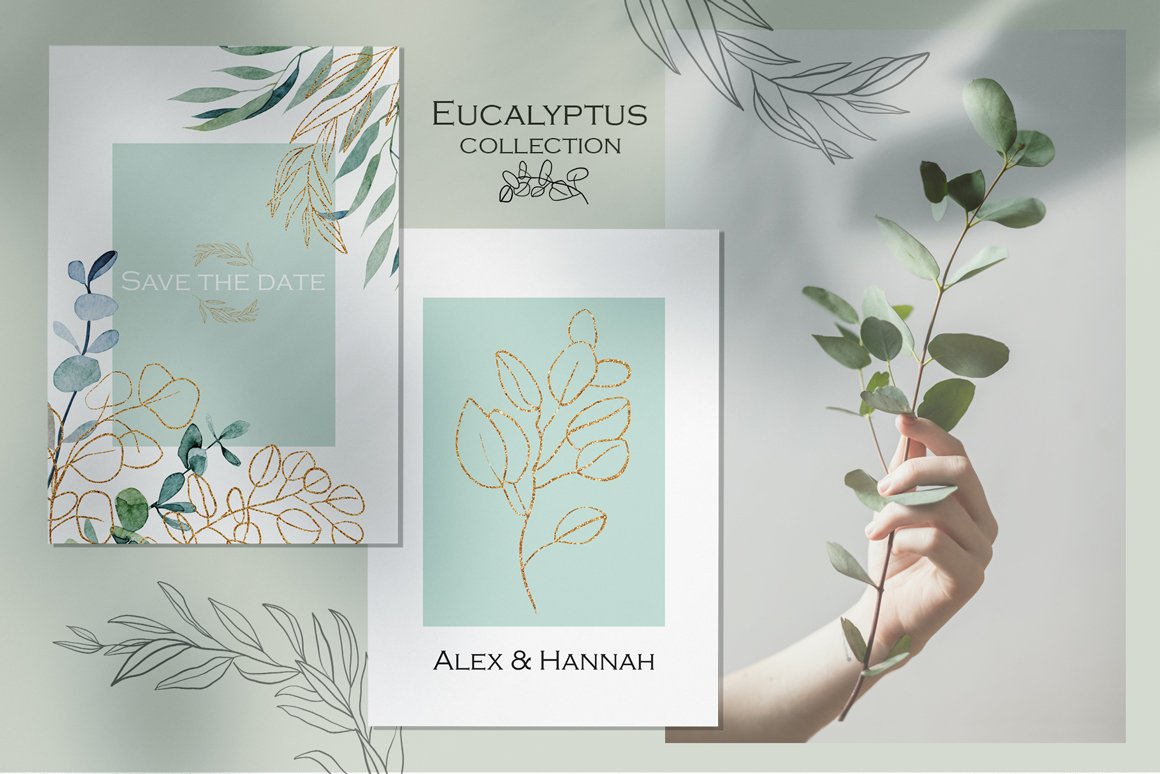 Eucalyptus - Watercolor and Graphic Collection