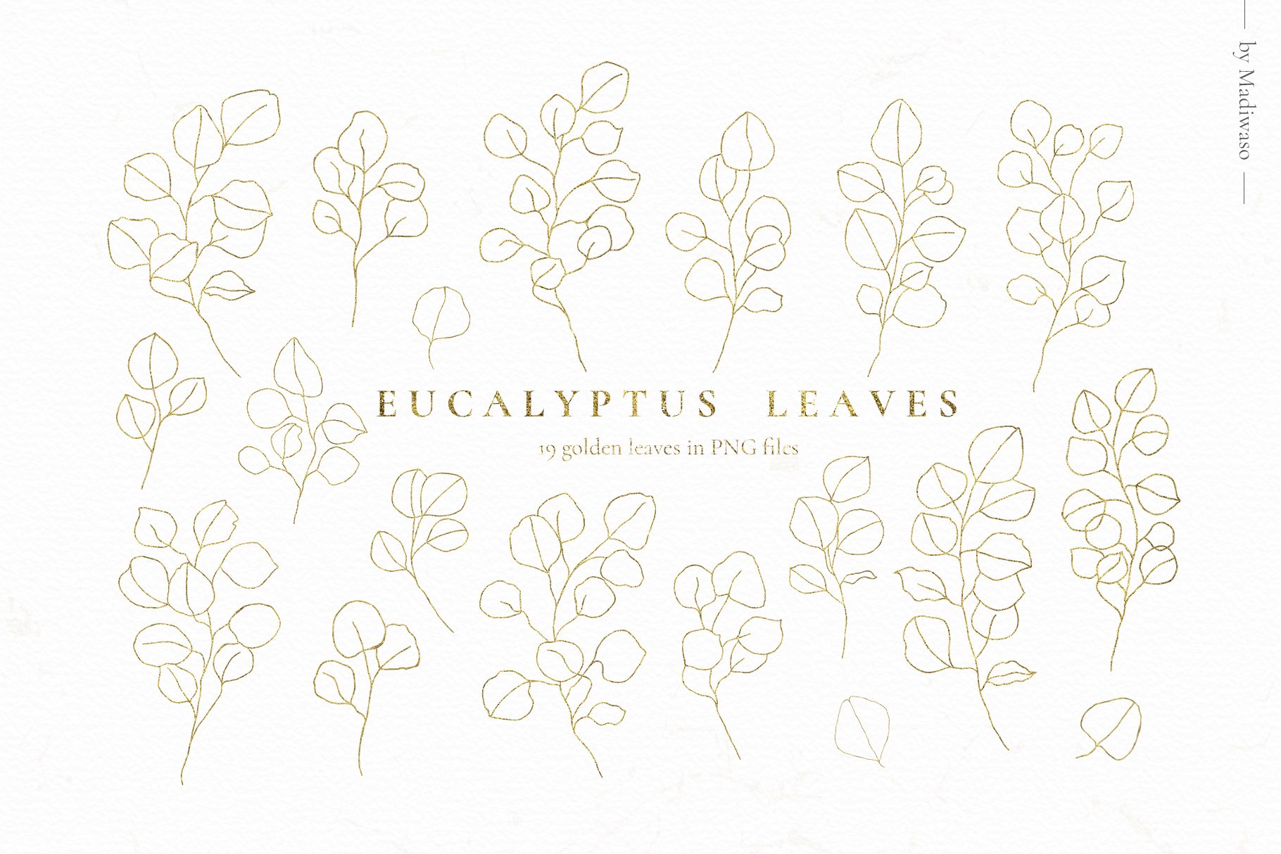 Eucalyptus - Watercolor Green Leaves