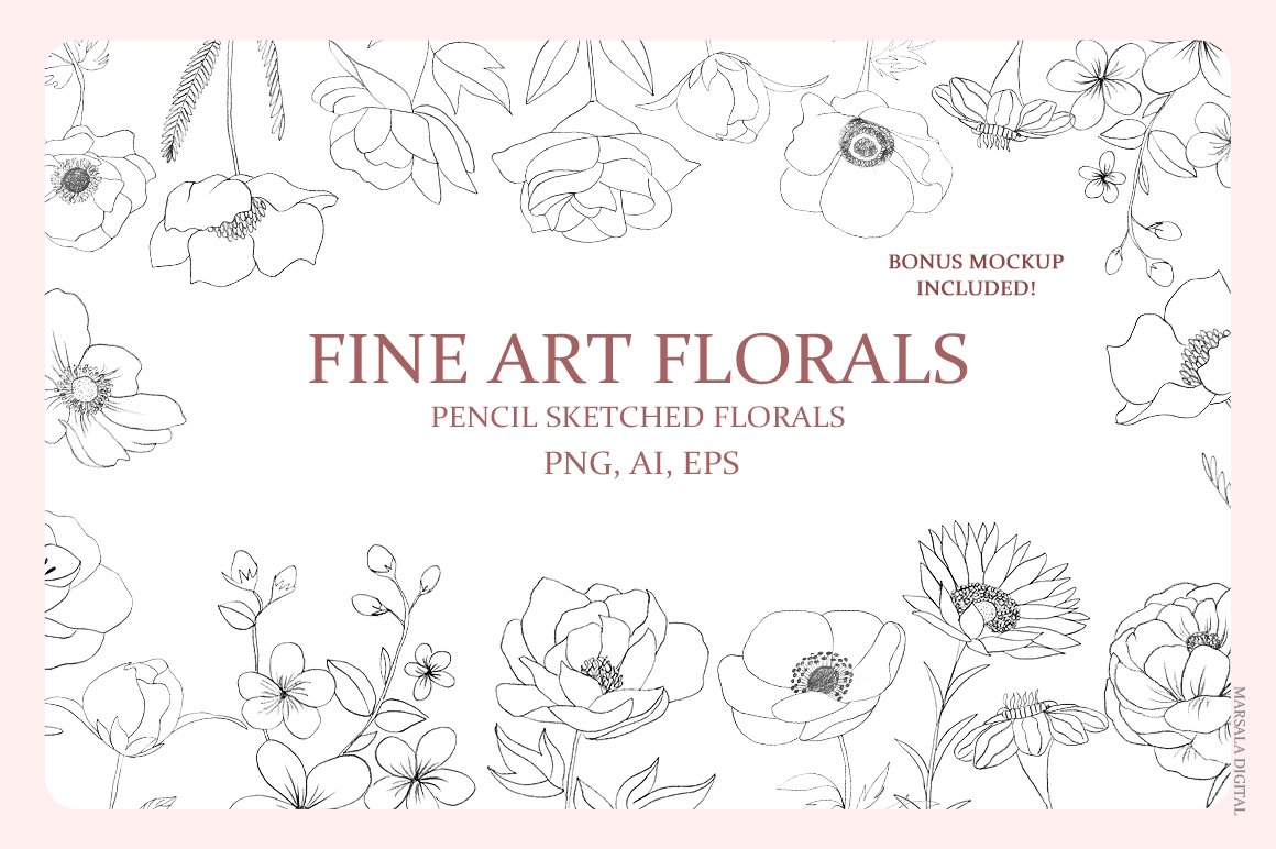 Fine Art Florals - Pencil Sketches
