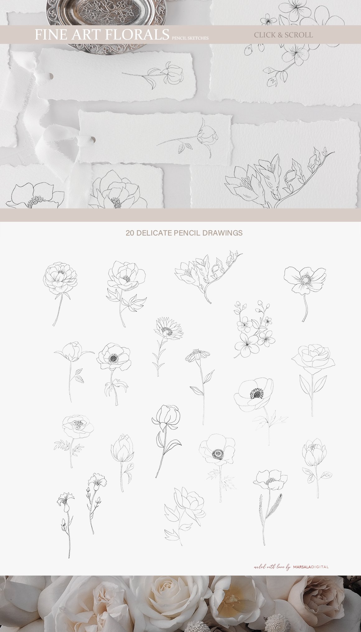 Fine Art Florals - Pencil Sketches