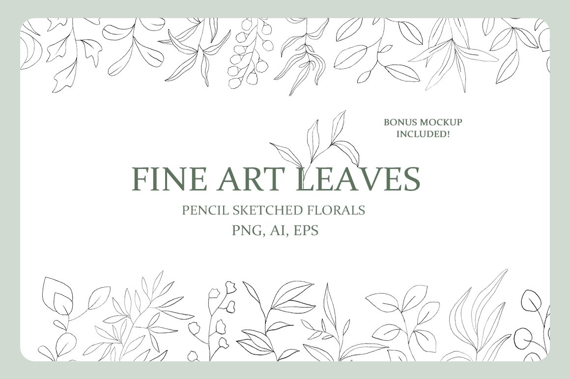 Fine Art Leaves - Pencil Sketches