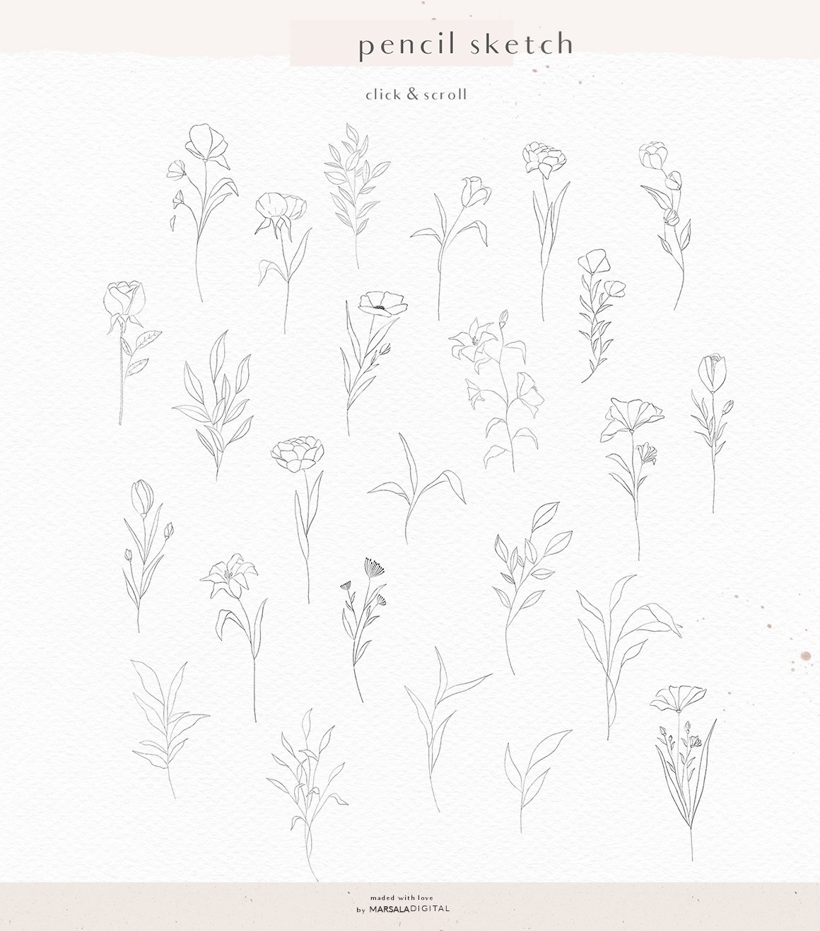 Floral Pencil Sketch Line Art Illustrations