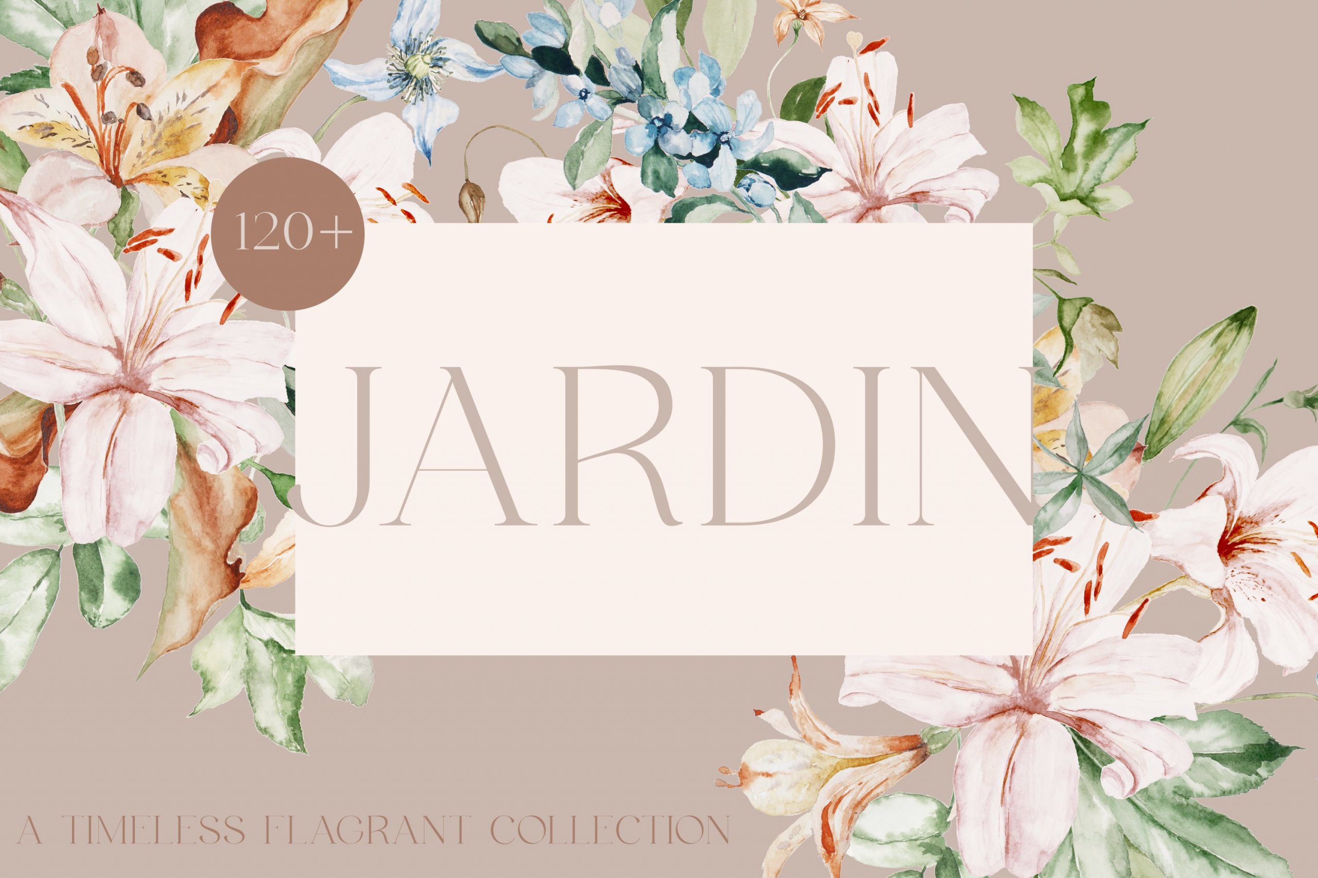 Jardin - Watercolor Botanicals
