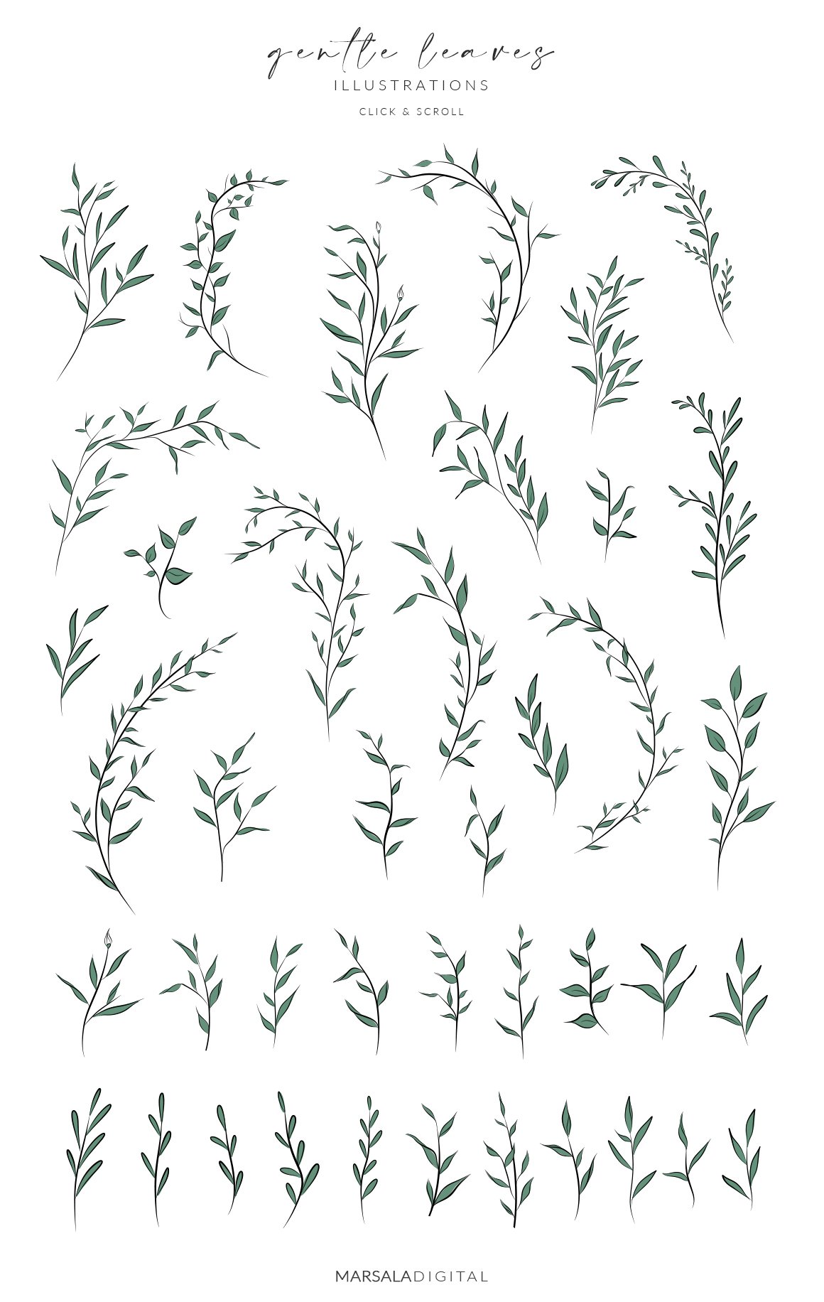 Leaves & Branches Line Art Greenery