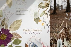 Magic Dry Flowers - Herbarium Watercolor Collection