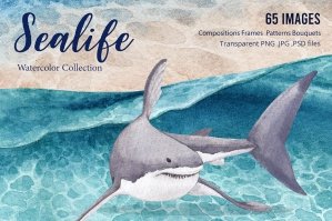 Sealife & Ocean Watercolor Illustration