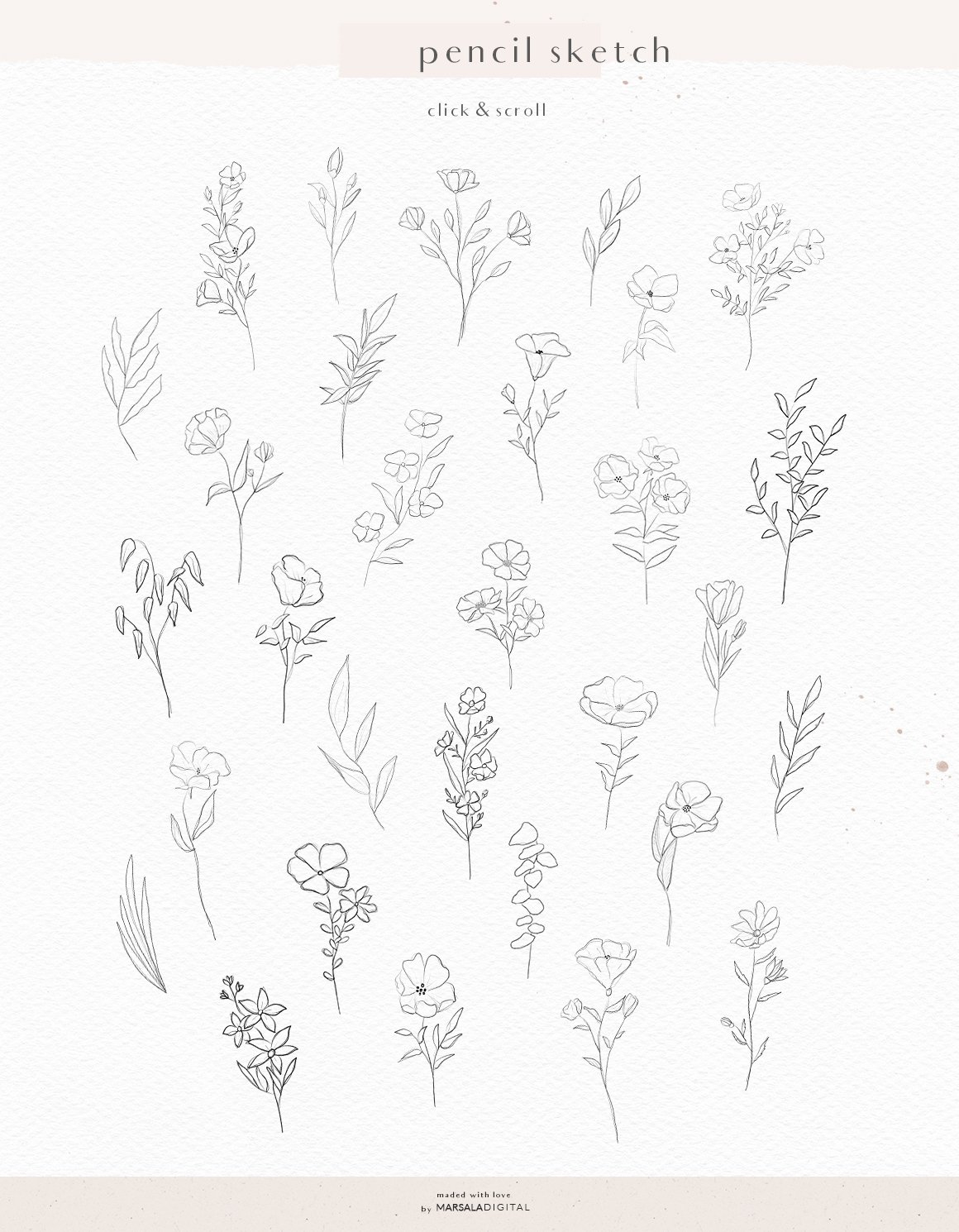 Watercolor & Pencil Sketch Florals