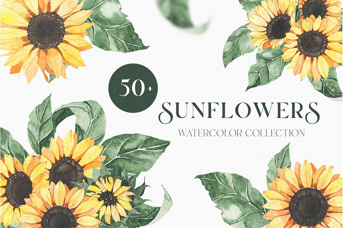 Watercolor Sunflowers Collection