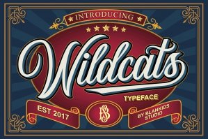 Wildcats Vintage Script Font