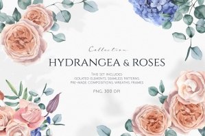 Hydrangea and Roses Clipart