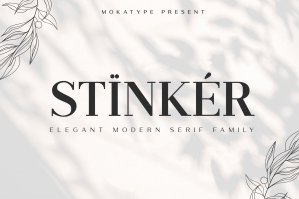 Stinker - Modern Serif Family