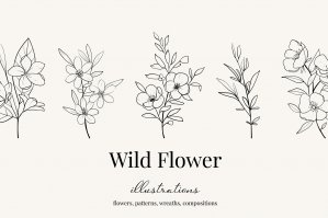Wildflower Botanical Illustrations