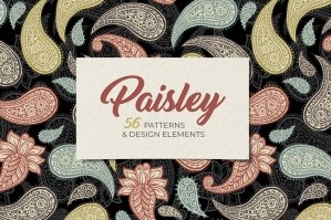 Paisley Seamless Patterns Collection
