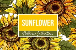 Sunflower Seamless Patterns and Objects Collection