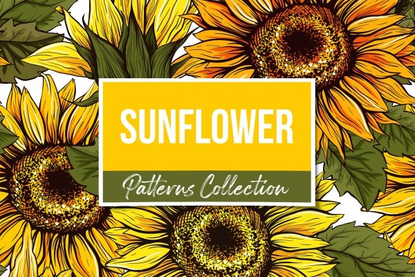 Sunflower Seamless Patterns And Objects Collection - Design Cuts