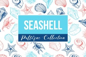 Seashells Patterns Collection