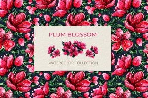 Plum Blossom Watercolor Flowers Art