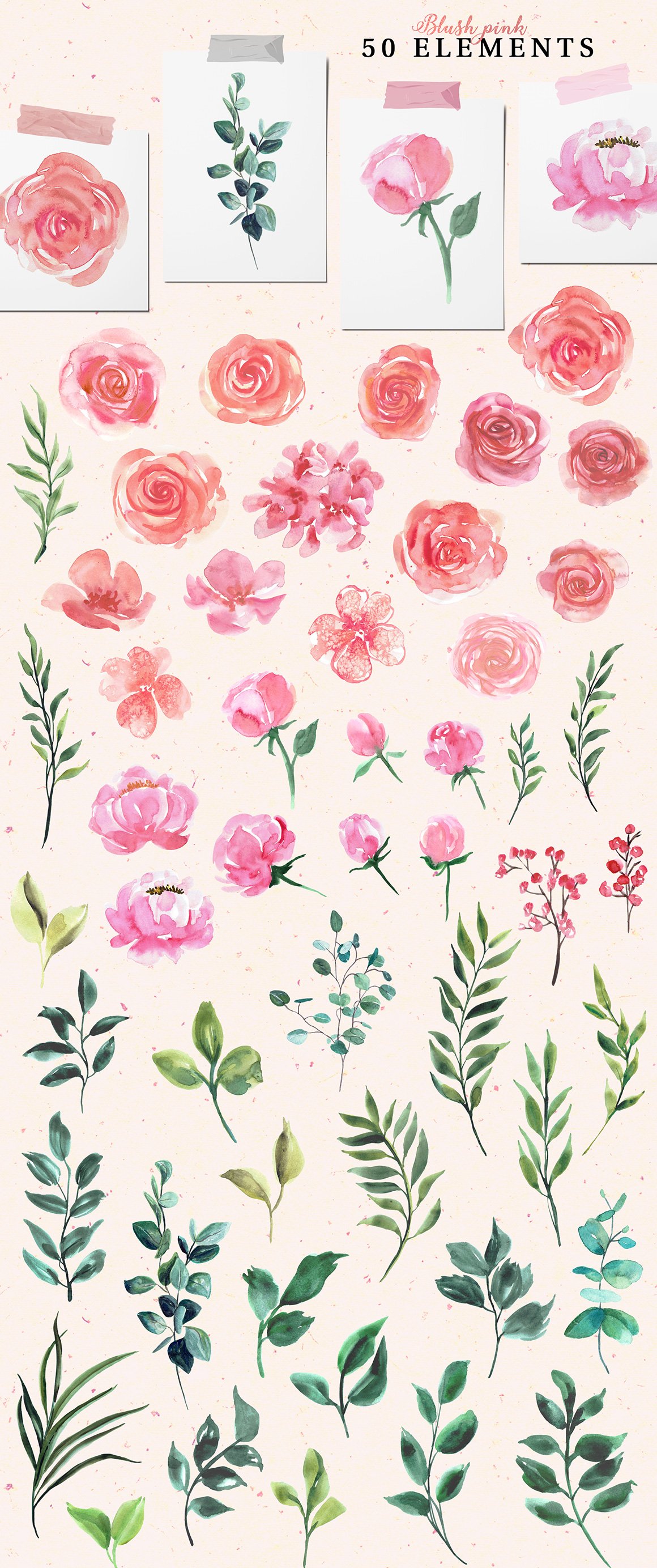 Blush Pink Floral Watercolor Collection