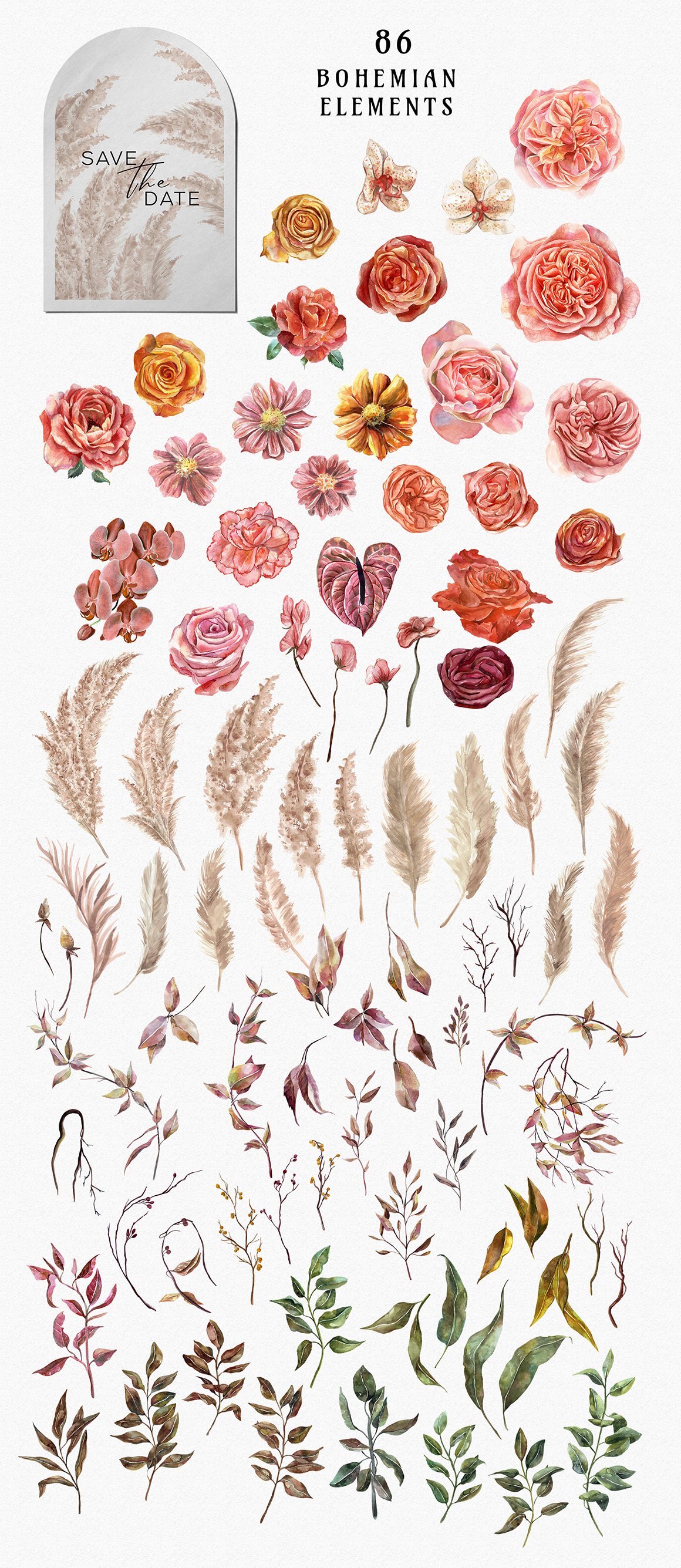 Bohemian Bloom - Watercolor Pampas Grass