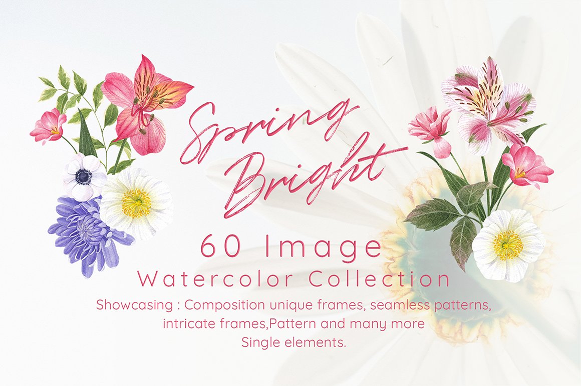 Brightly Coloured Spring Flower Watercolor
