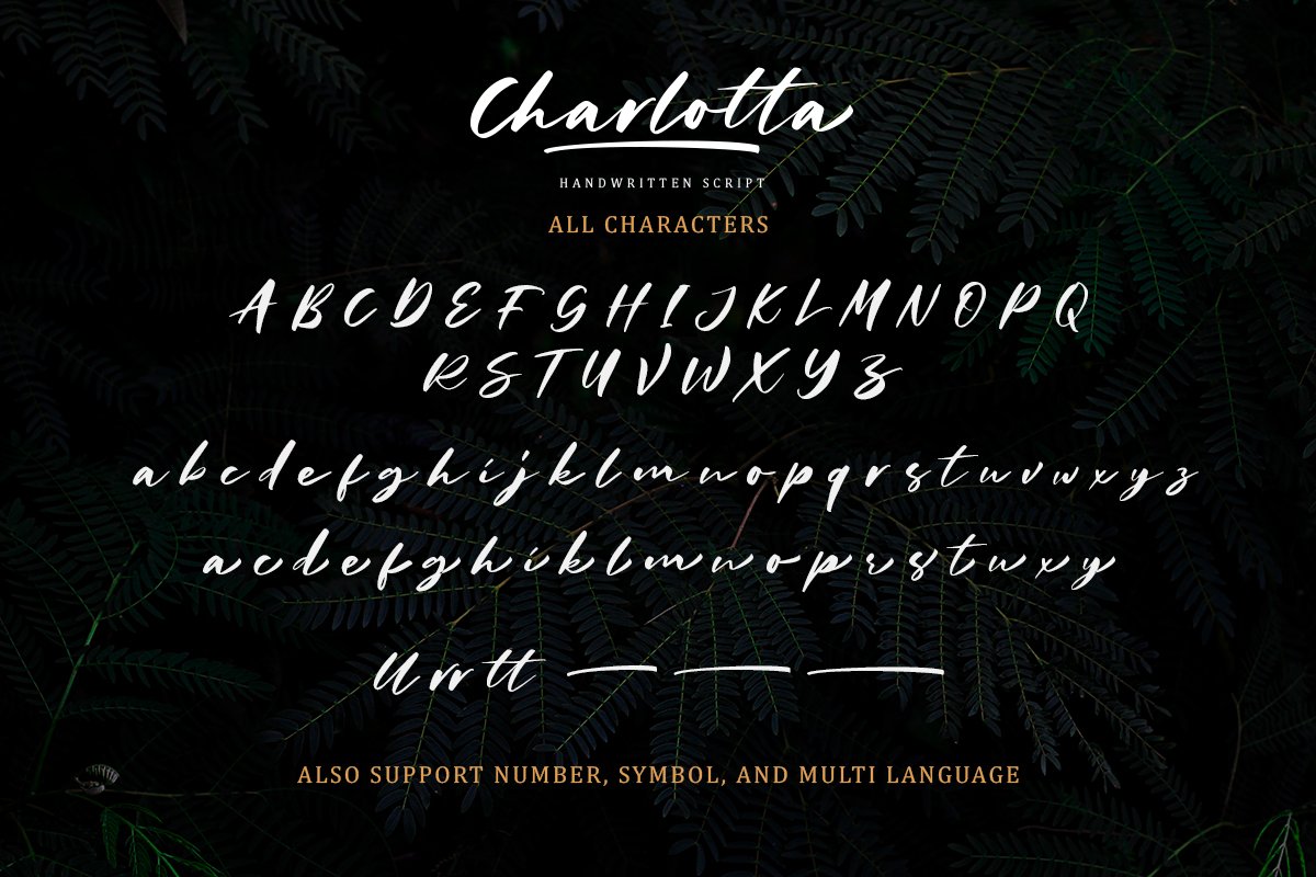 Charlotta - Handwritten Script
