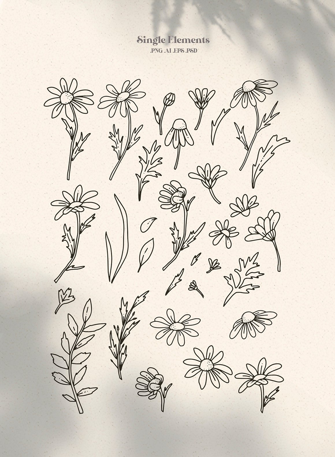 Daisy Flowers - Modern Floral Line Art Set