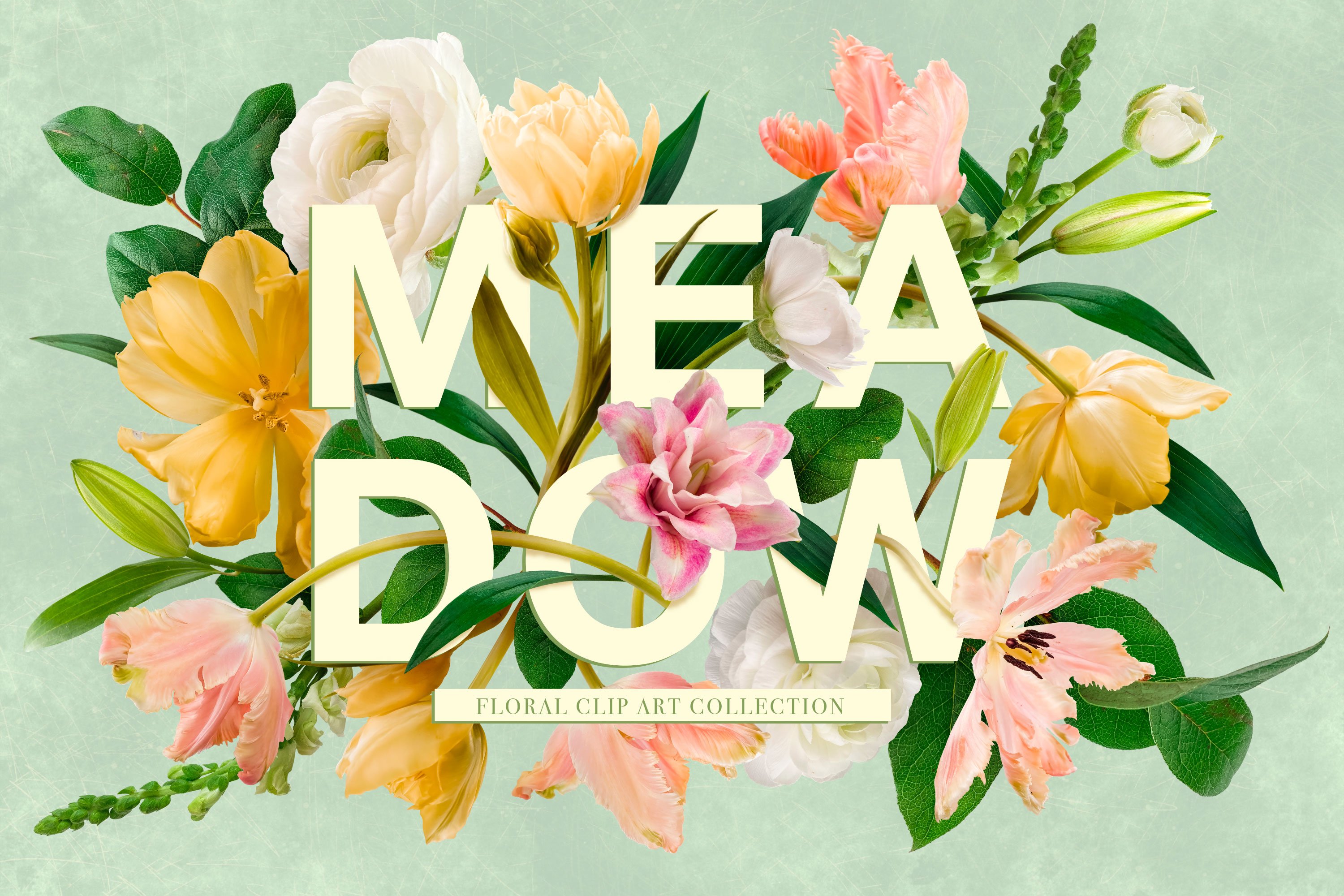 Spring Meadow Clip Art Graphics Collection