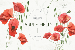Poppies Field Watercolor Collection