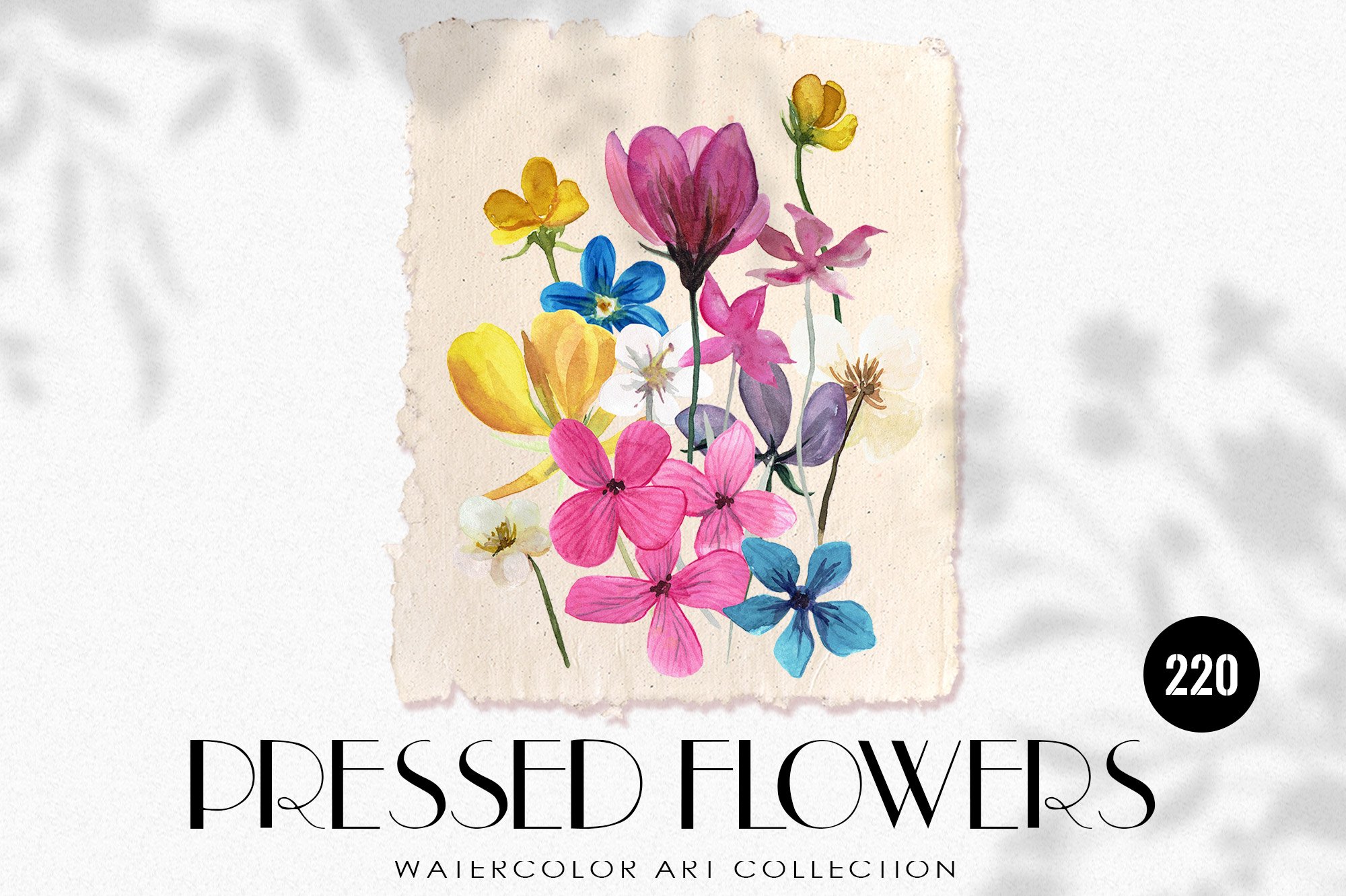 Pressed Flowers Watercolor Collection