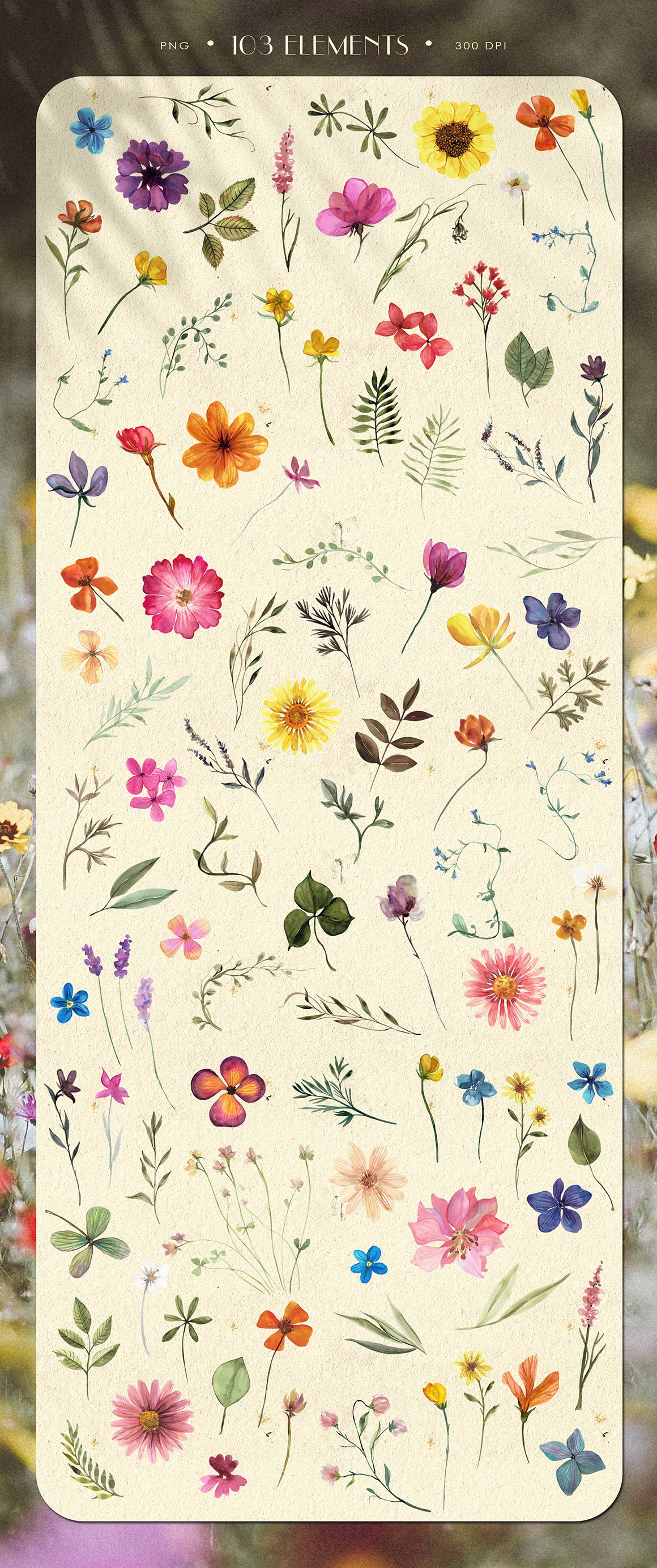 Pressed Flowers Watercolor Collection