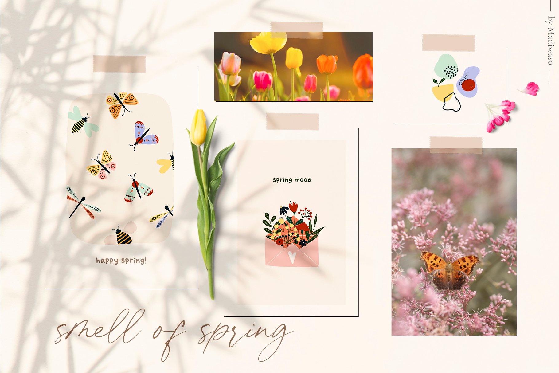Spring Season Abstract Graphic Set