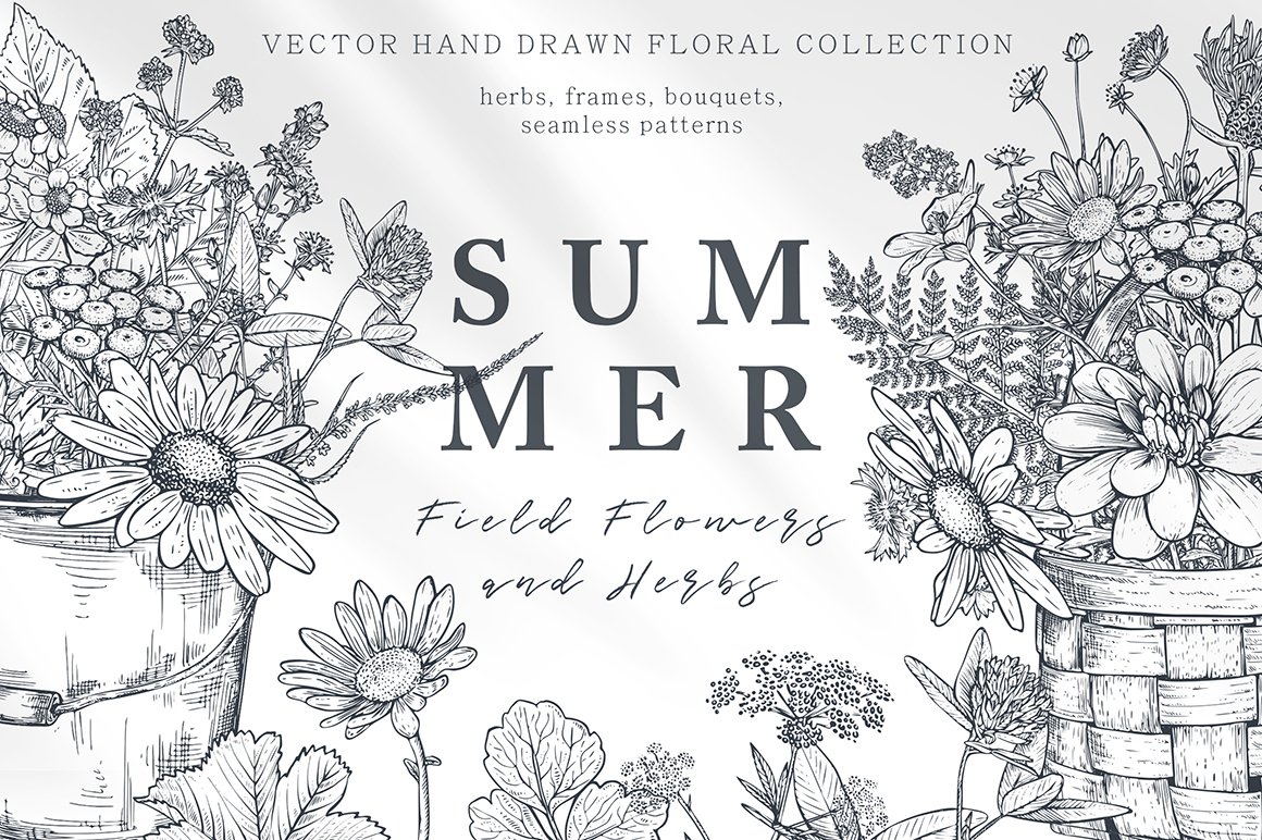 Summer Field Flowers Vector Collection