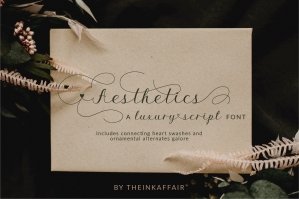 Aesthetics Luxury Script Font