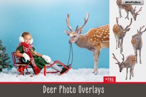 Deer Photo Overlays