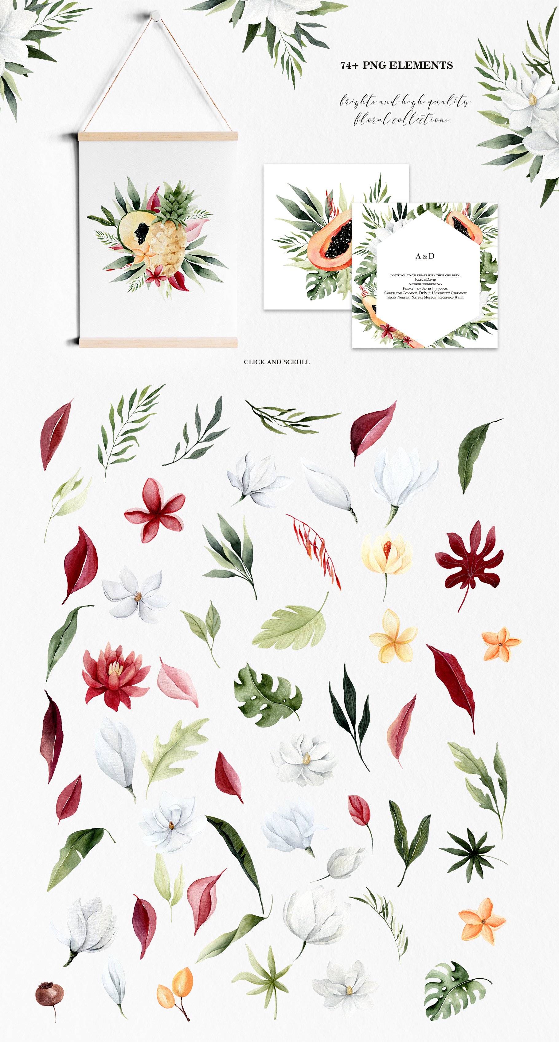Tropical Cocktails Collection - Design Cuts