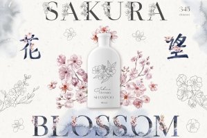 Sakura Blossom Watercolor & Line Art