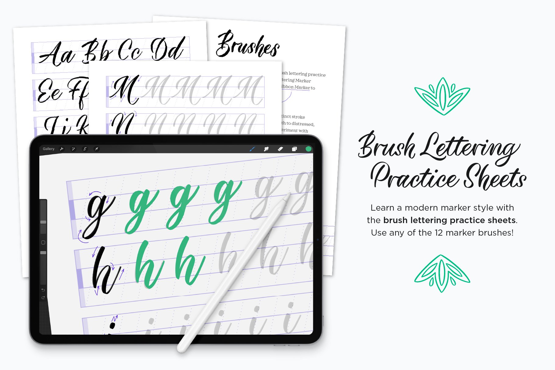 30 Calligraphy & Lettering Guides – Print & Procreate