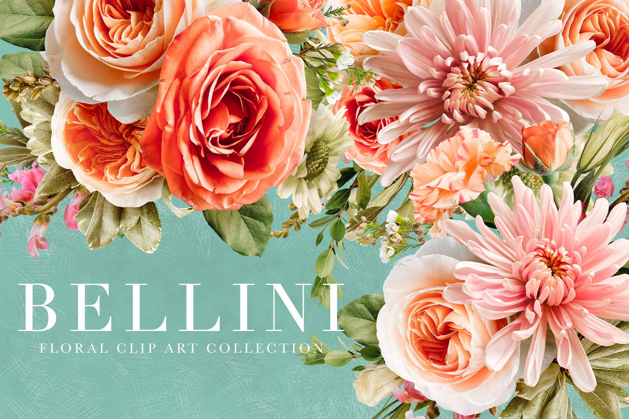 Bellini Floral Clip Art Collection