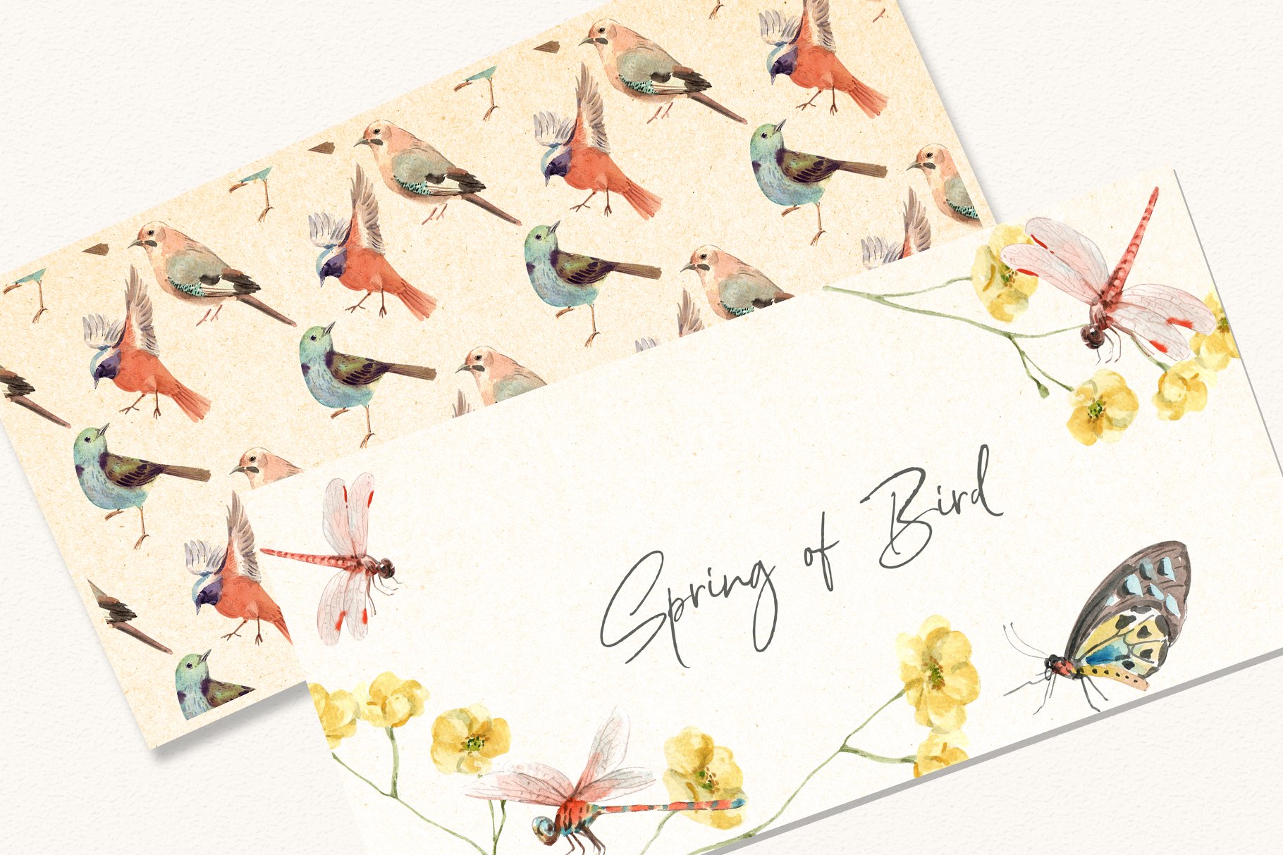 Birds of Spring, Summer Watercolor Set