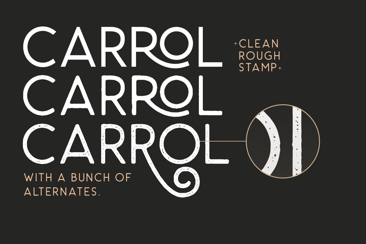 Carrol Wild - Modern Sans