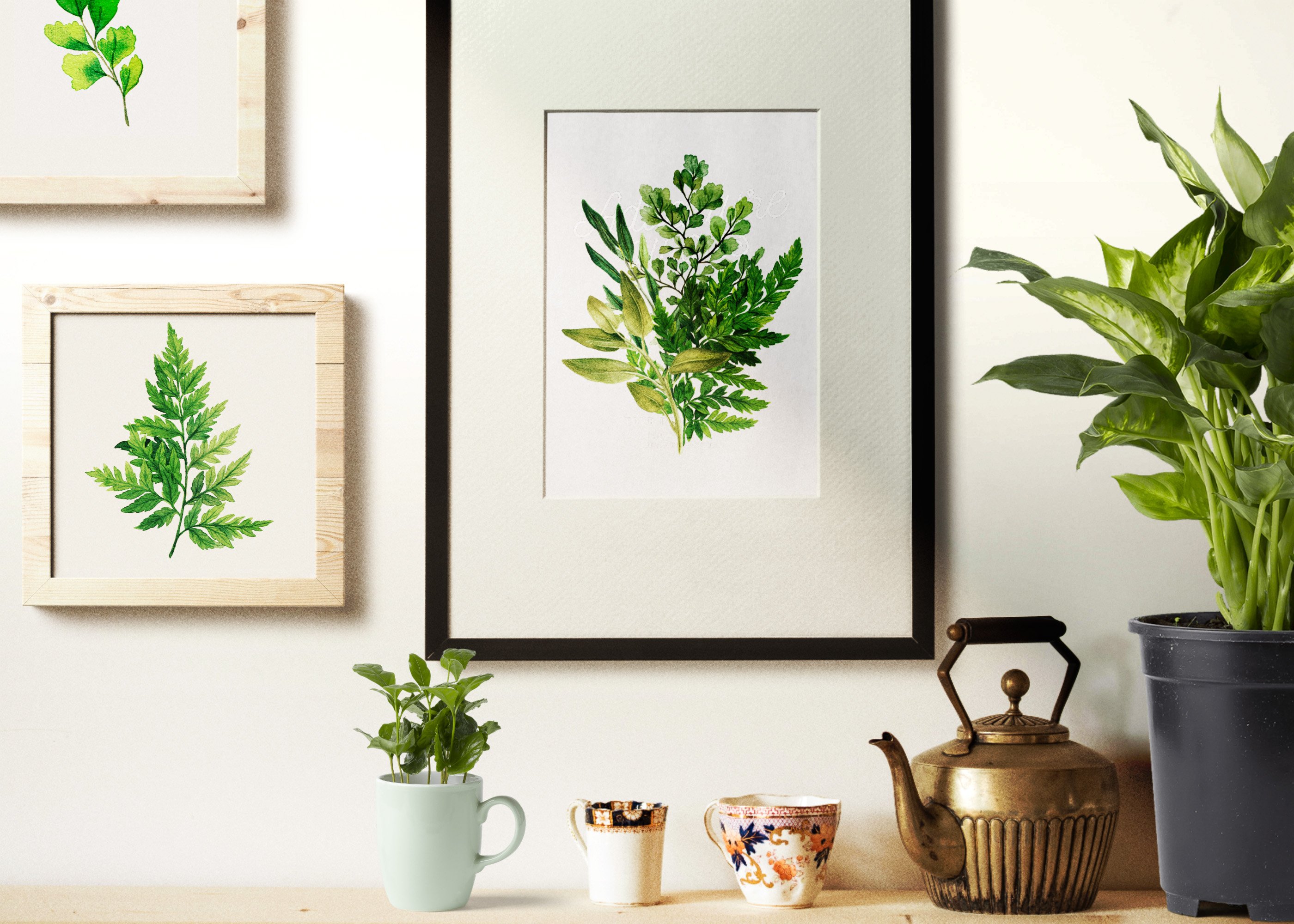 Ferns & Herbs - Botanical Watercolor Clipart