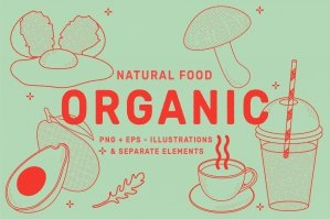 Organic Healthy Food Vector Illustration Set
