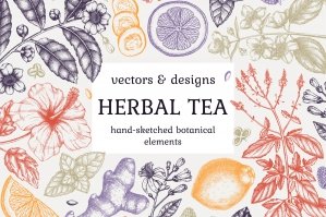 Herbal Tea Ingredients Collection