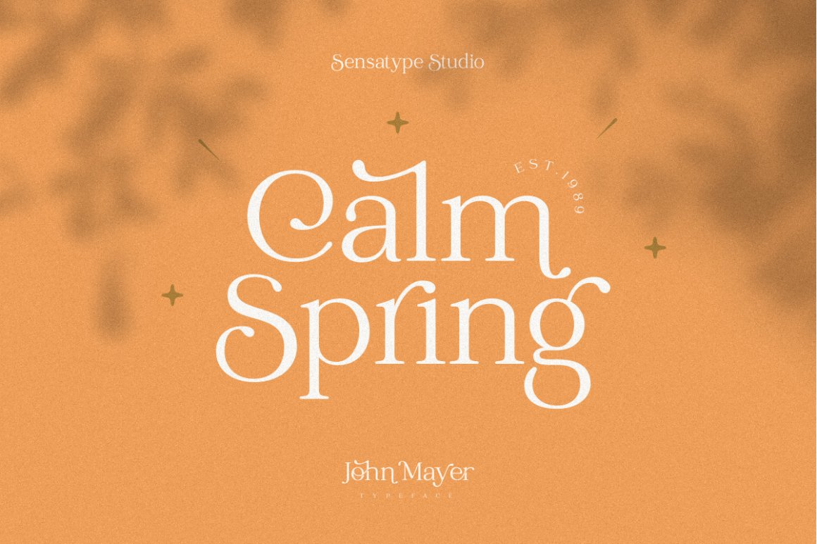 John Mayer - Fancy Ligature Font