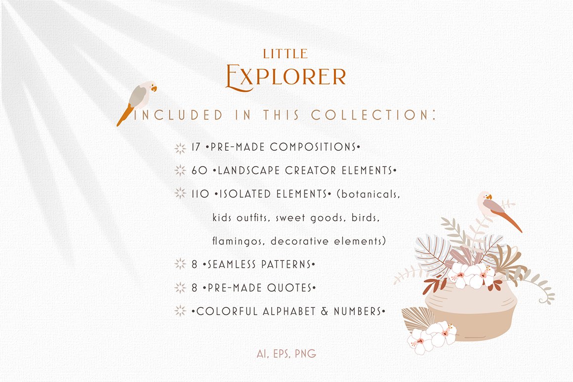 Little Explorer Collection
