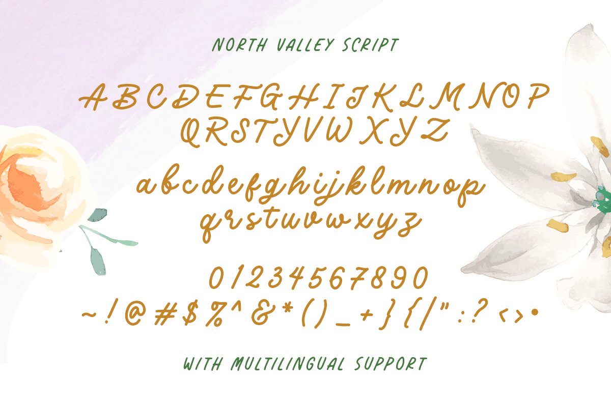 North Valley - Cute Sans and Script