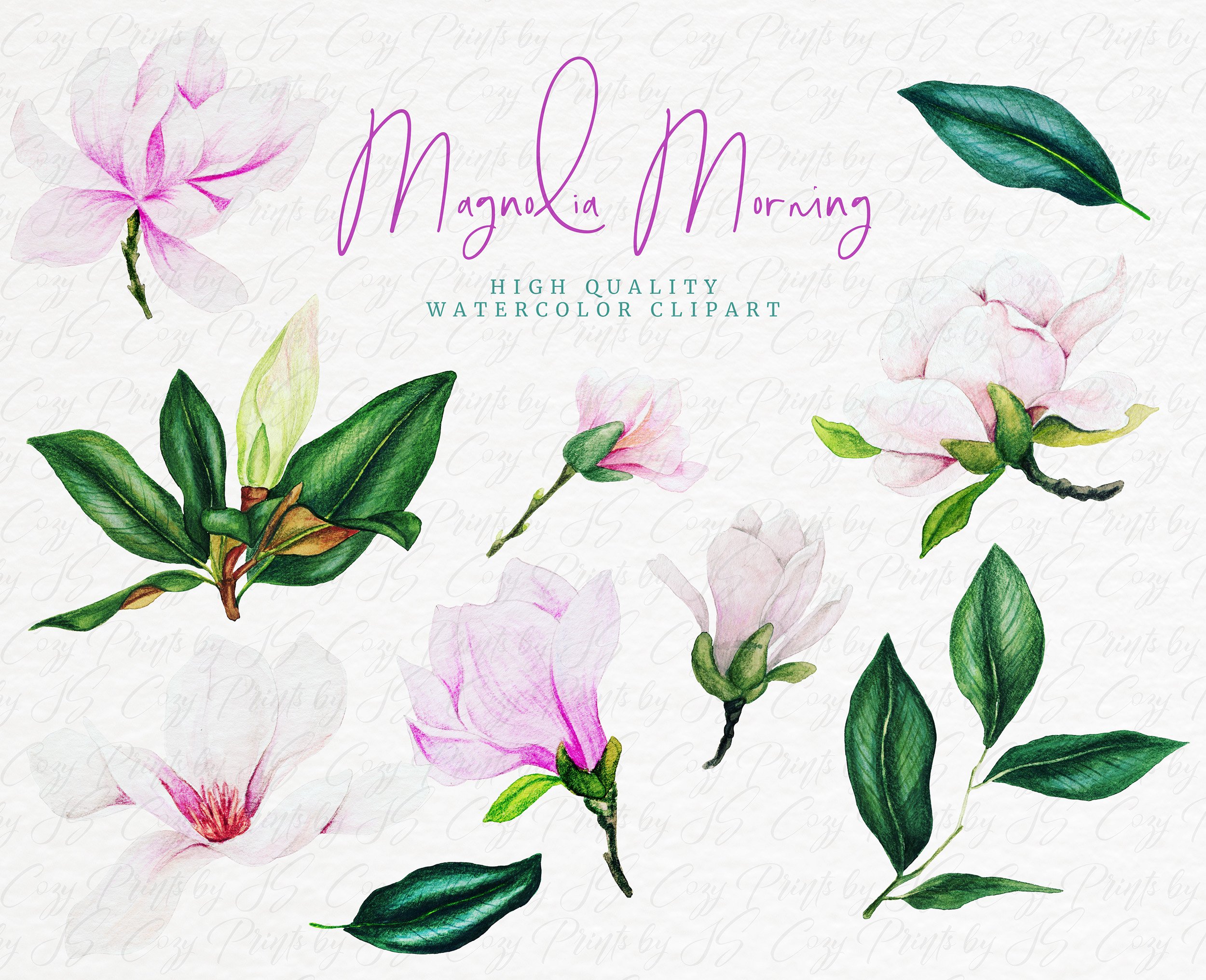 Pink Magnolia - Floral Watercolor Clipart