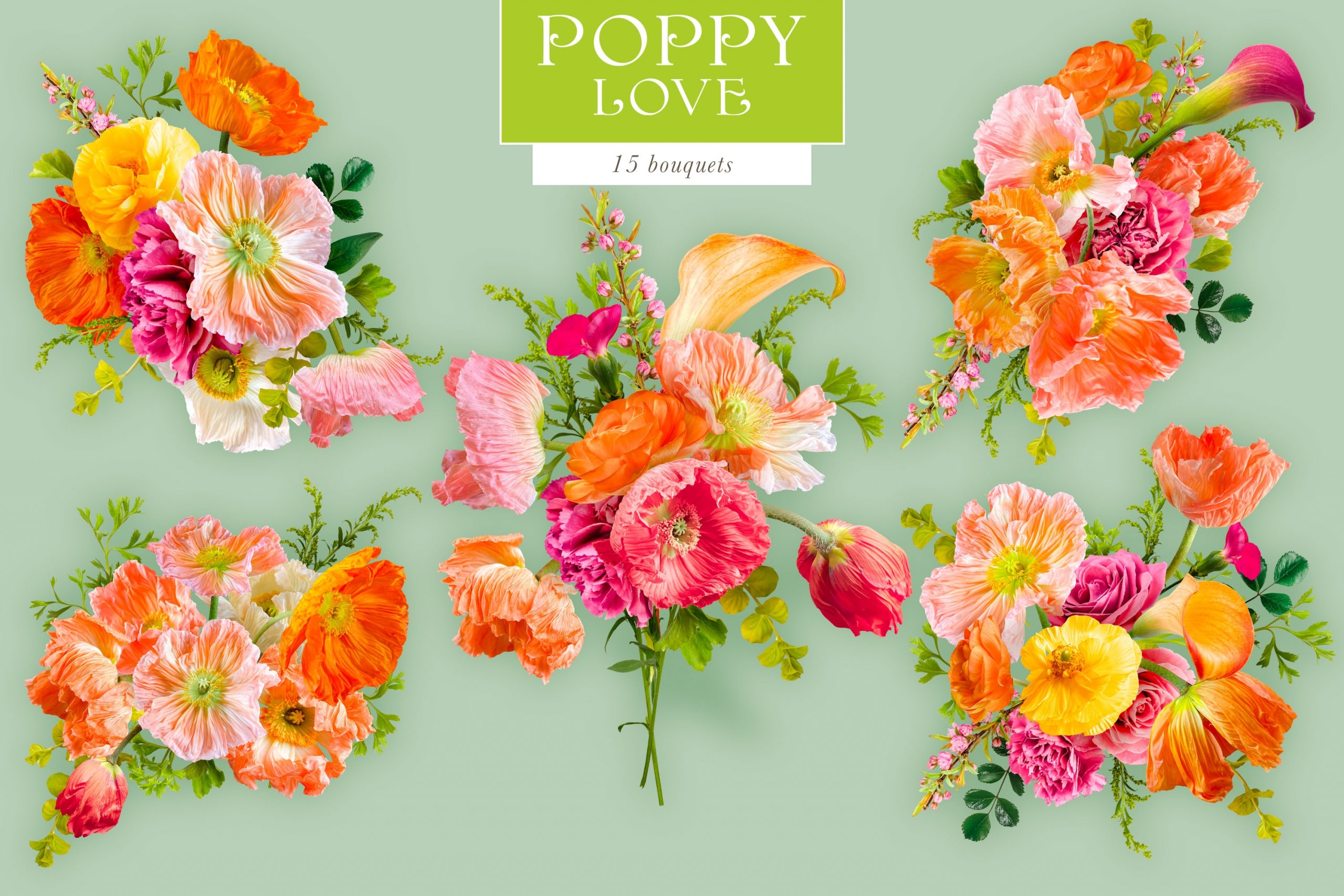 Poppy Love Floral Clip Art - Design Cuts